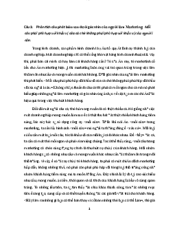 Bộ câu hỏi tự luận ôn tập Nguyên lý Marketing