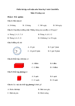 Phiếu bài tập cuối tuần lớp 3 - Tuần 23 (nâng cao) | Cánh Diều