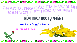 Giáo án điện tử Khoa học tự nhiên 6 bài 17 Chân trời sáng tạo : Tế bào