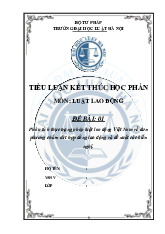 Tiểu luận phân tích thực trạng pháp luật lao động Việt Nam về đơn phương chấm dứt hợp đồng lao động và đề xuất các kiến nghị.