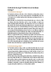 Cá thòi lòi là cá gì? Cá thòi lòi có ăn được không ?