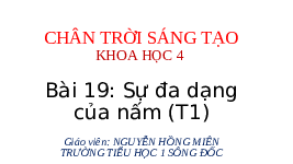Giáo án điện tử Khoa học 4 Bài 19 Chân trời sáng tạo: Sự đa dạng của nấm