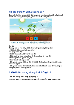 Giải SGK Công nghệ 7 Bài 2: Quy trình trồng trọt| Cánh diều