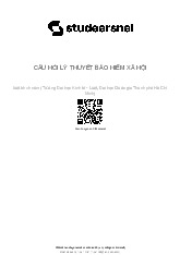 Đề cương môn Lý thuyết bảo hiểm xã hội - Trường Đại học lao động -  xã hội