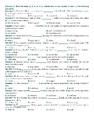 Đề thi thử Trung học phổ thông quốc gia 2026 môn Tiếng Anh