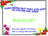 Giáo án điện tử Khoa học tự nhiên 7 bài 27 Chân trời sáng tạo : Trao đổi khí ở sinh vật