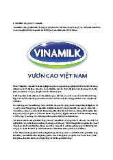 Tìm hiểu về Vinamilk và Chiến lược Kinh doanh | Nguyên Lý Marketing | Đại học Tôn Đức Thắng