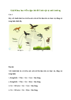 Giải Khoa học lớp 4 Ôn tập chủ đề Sinh vật và môi trường | Cánh diều