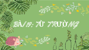 Bài giảng điện tử môn Khoa học tự nhiên 7 Vật Lí Bài 19: Từ trường | Chân trời sáng tạo