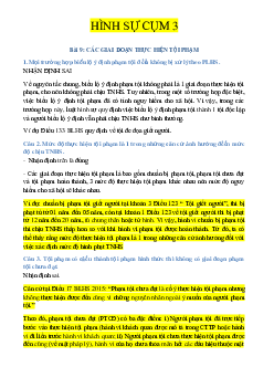 Bài giảng về luật hình sự - Các giai đoạn thực hiện tội phạm
