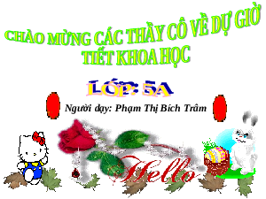 Giáo án điện tử Khoa học 5 Bài 13 Chân trời sáng tạo: Sắt, đồng, nhôm
