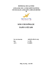 Báo cáo môn học pháp luật HSE
