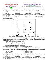 Đề ôn thi tốt nghiệp môn Địa lí 2025 bám sát minh họa giải chi tiết-Đề 9