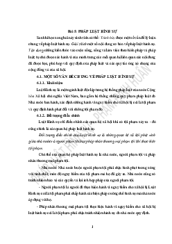 Bài giảng chương 5 :  Pháp luật hình sự