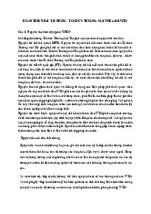 Phân Tích Các Nguyên Tắc Hoạt Động và Cam Kết Việt Nam Của WTO | Môn Thương mại quốc tế - Đại học Kinh Tế Quốc Dân