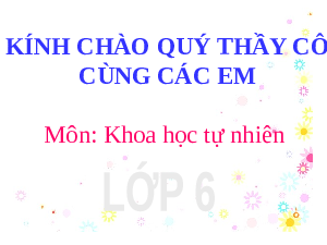 Giáo án điện tử Khoa học tự nhiên 6 bài 44 Kết nối tri thức : Lực ma sát