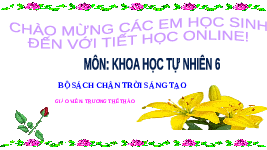 Giáo án điện tử Khoa học tự nhiên 6 bài 27 Chân trời sáng tạo : Nguyên sinh vật