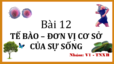 Chủ đề 7. Bài 12: Tế bào - Đơn vị cơ bản của sự sống | Bài giảng PowerPoint KHTN 6 | Cánh diều