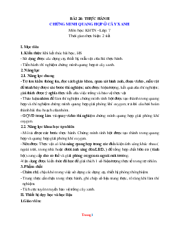 Giáo án KHTN 7 kết nối tri thức bài 24: Thực hành chứng minh quang hợp ở cây xanh