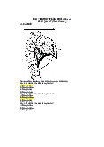 Trắc nghiệm về phổi - Môn Giải phẫu | Đại học Y dược Cần Thơ