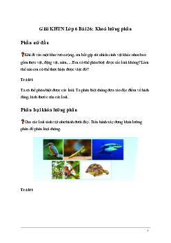 Giải KHTN Lớp 6 Bài 26: Khoá lưỡng phân | Kết nối tri thức