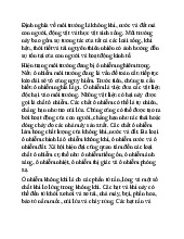 Định nghĩa về môi trường và không khí | Đại học Nội Vụ Hà Nội