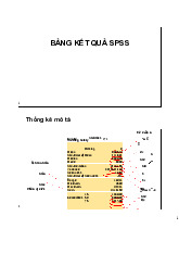 SPSS - Kết Quả Thống Kê Mô Tả  môn Thống kê trong kinh tế và kinh doanh | Trường Đại học Kinh Tế Quốc Dân