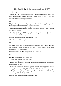 Giải Sinh 10 Bài 5: Các phân tử sinh học | Kết nối tri thức