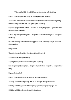 Trắc nghiệm Sinh học 11 Bài 11 (Có đáp án)| Kết nối tri thức