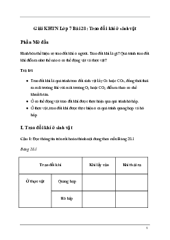 Bài 28: Trao đổi khí ở sinh vật | Giải sách Khoa học tự nhiên 7 Kết nối tri thức