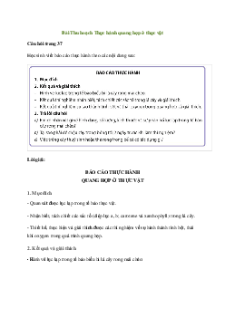 Giải Sinh học 11 Bài 5: Thực hành quang hợp ở thực vật | Kết nối tri thức