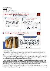 Ôn tập Chương 1 - Nguồn Gốc và Bản Chất Nhà Nước | Pháp Luật Đại Cương | Trường Đại học Hà Nội