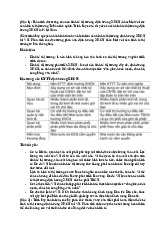 Kinh tế thị trường định hướng xã hội chủ nghĩa tại Việt Nam | Môn Kinh tế chính trị Mác-Lenin - Đại học Bách Khoa Hà Nội