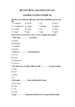 Đề thi giữa kì 1 tiếng Anh 8 Global success số 2