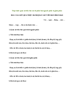 Sinh học 10 Bài 20: Thực hành: quan sát tiêu bản các kì phân bào nguyên phân và giảm phân sách Chân Trời Sáng Tạo