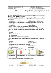 Đề thi học kỳ 1 môn Khoa học tự nhiên lớp 6 năm học 2024 - 2025 | Bộ sách Chân trời sáng tạo