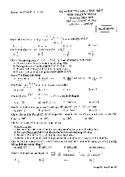 Đề kiểm tra giữa HK2 Toán 11 năm 2018 – 2019 trường Việt Nam – Ba Lan – Hà Nội