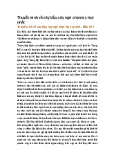 Thuyết minh về cây bắp, cây ngô chọn lọc hay nhất