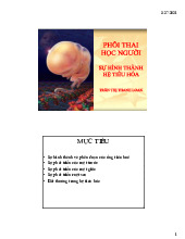 Bài giảng Phôi Tiêu Hóa: Sự Phát Triển và Bất Thường Hệ Tiêu Hóa | Đại học Nguyễn Tất Thành