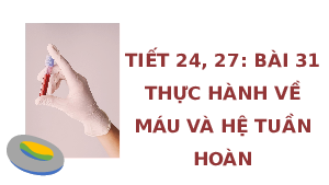 Giáo án điện tử Khoa học tự nhiên 8 Bài 31 Cánh diều: Thực hành về máu và hệ tuần hoàn