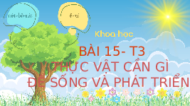 Giáo án điện tử Khoa học 4 Bài 15 Chân trời sáng tạo: Thực vật cần gì để sống và phát triển?