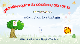Giáo án điện tử Tự nhiên và Xã hội 2 Bài 16 Kết nối tri thức: Thực vật sống ở đâu?