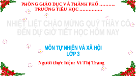 Giáo án điện tử TN&XH 3 Bài 16 Kết nối tri thức: Sử dụng hợp lí thực vật và động vật