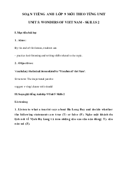 Unit 5 lớp 9 Skills 2