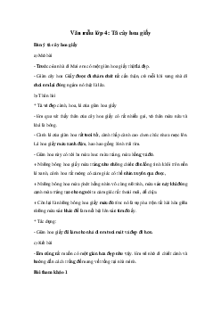 Tả cây hoa giấy Hay nhất | Tập làm văn 4