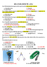 Đề Cương Ôn Tập Mô Hình Kinh Tế Cảng Và Cảng Biển | Kinh tế Cảng | Đại học Hàng hải Việt Nam