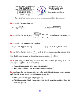 Đề thi học kì 2 Toán 11 năm 2019 – 2020 trường THPT Nguyễn Du – TP HCM