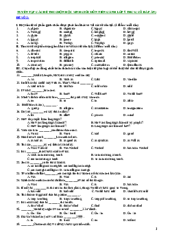 Tuyển tập các đề thi chọn HSG môn Tiếng Anh lớp 9 THCS (có đáp án)