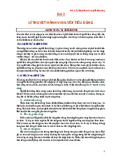 Lý thuyết chương 3 : Hành vi người tiêu dùng | Môn kinh tế vĩ mô