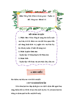 Bài tập cuối tuần Tiếng Việt lớp 4 Chân trời sáng tạo Tuần 15 Nâng cao